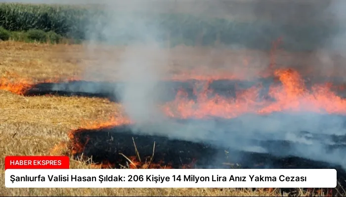 Şanlıurfa Valisi Hasan Şıldak: 206 Kişiye 14 Milyon Lira Anız Yakma Cezası