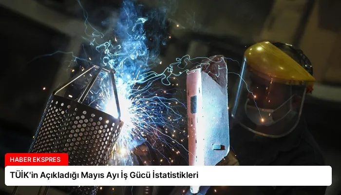TÜİK’in Açıkladığı Mayıs Ayı İş Gücü İstatistikleri