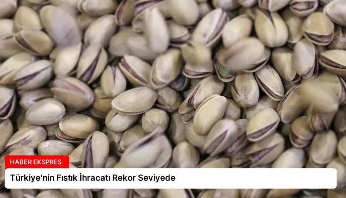 Türkiye’nin Fıstık İhracatı Rekor Seviyede