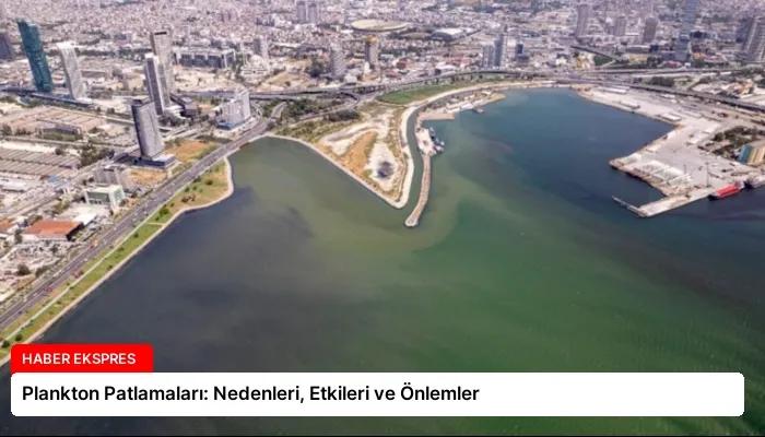 Plankton Patlamaları: Nedenleri, Etkileri ve Önlemler