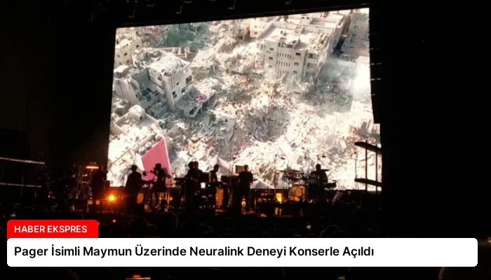 Pager İsimli Maymun Üzerinde Neuralink Deneyi Konserle Açıldı