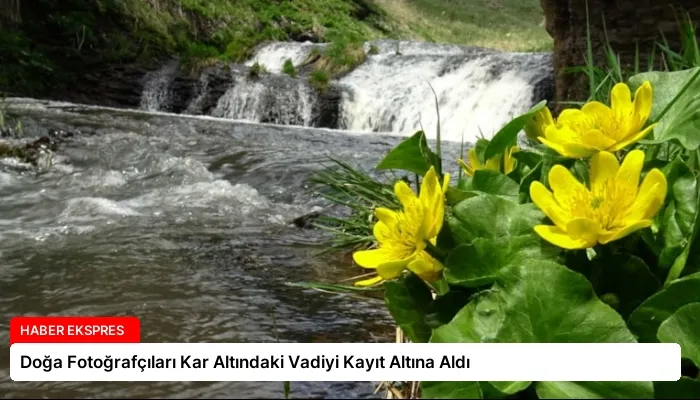 Doğa Fotoğrafçıları Kar Altındaki Vadiyi Kayıt Altına Aldı