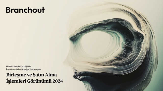 Türkiye’nin 2024 birleşme ve satın alma karnesi: 465 işlem, 6,5 milyar dolar hacim