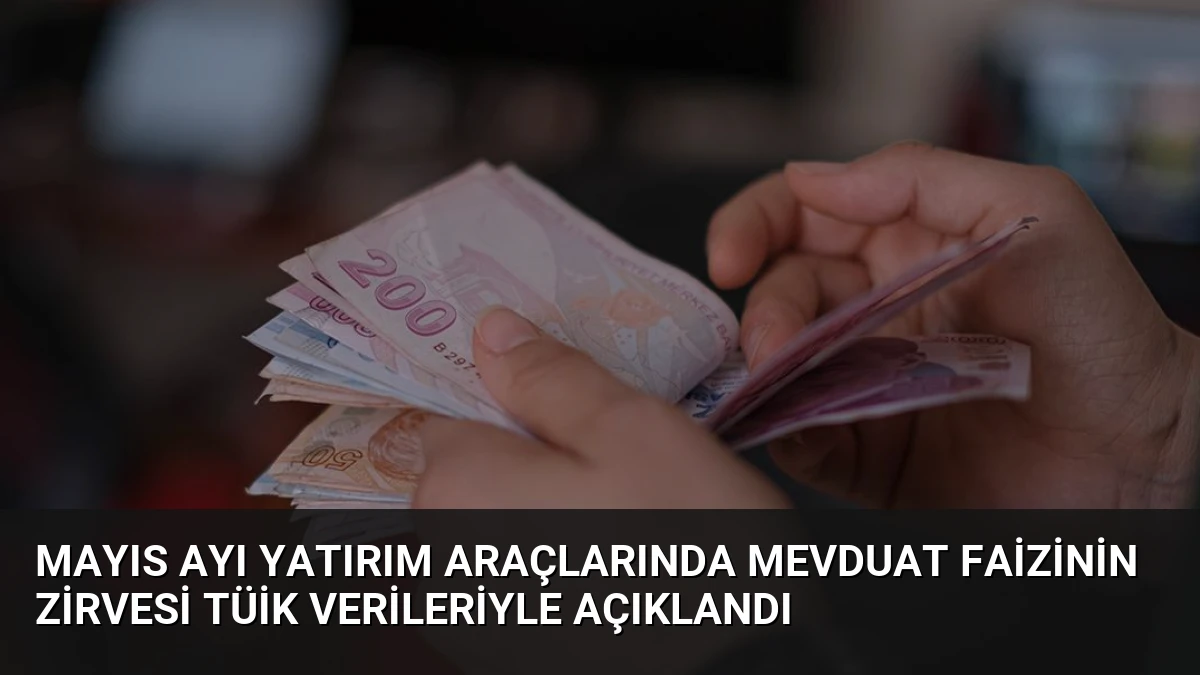 Mayıs Ayı Yatırım Araçlarında Mevduat Faizinin Zirvesi TÜİK Verileriyle Açıklandı
