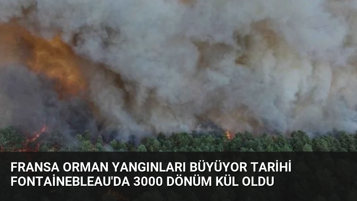 Fransa Orman Yangınları Büyüyor Tarihi Fontainebleau’da 3000 Dönüm Kül Oldu