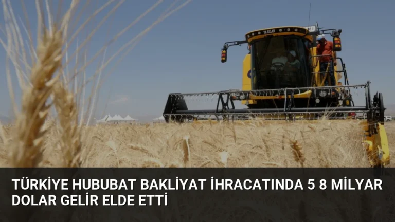Türkiye Hububat Bakliyat İhracatında 5 8 Milyar Dolar Gelir Elde Etti