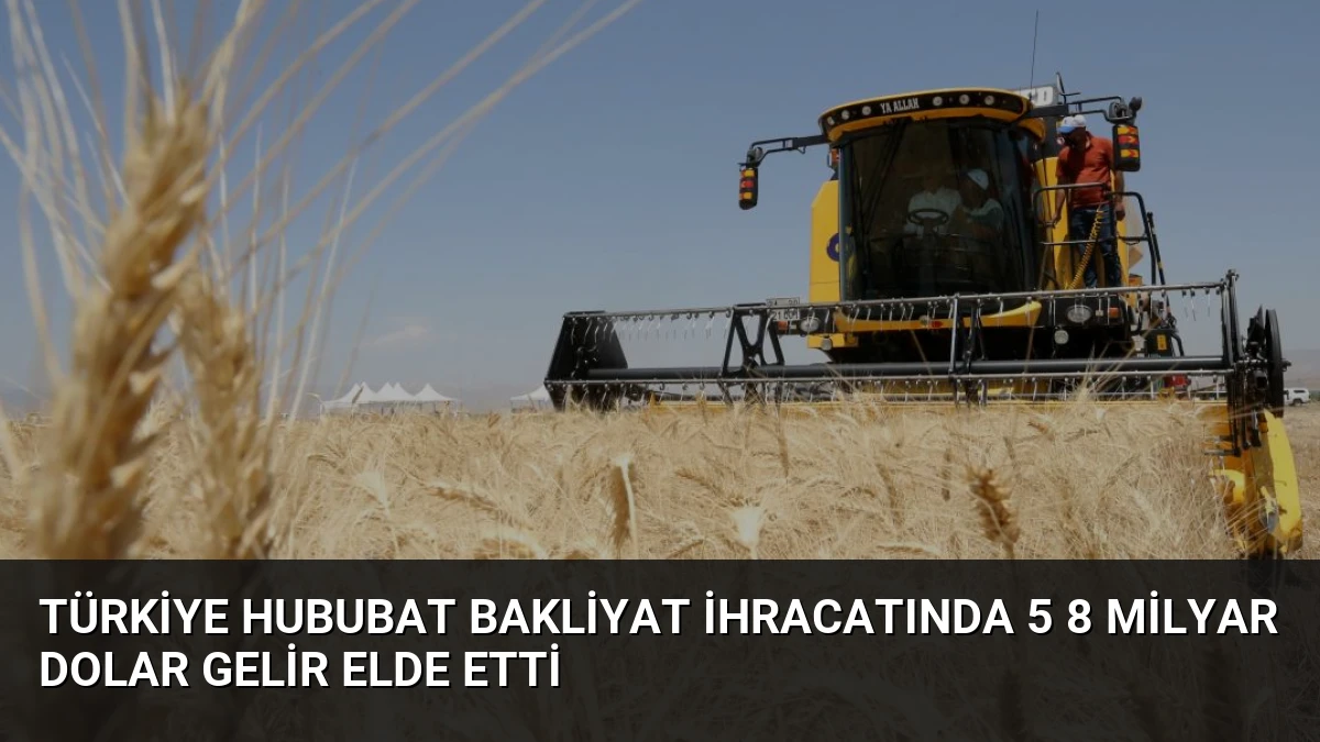 Türkiye Hububat Bakliyat İhracatında 5 8 Milyar Dolar Gelir Elde Etti