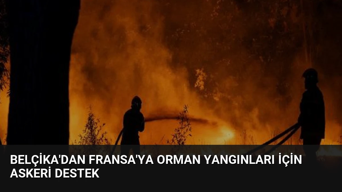 Belçika’dan Fransa’ya Orman Yangınları İçin Askeri Destek