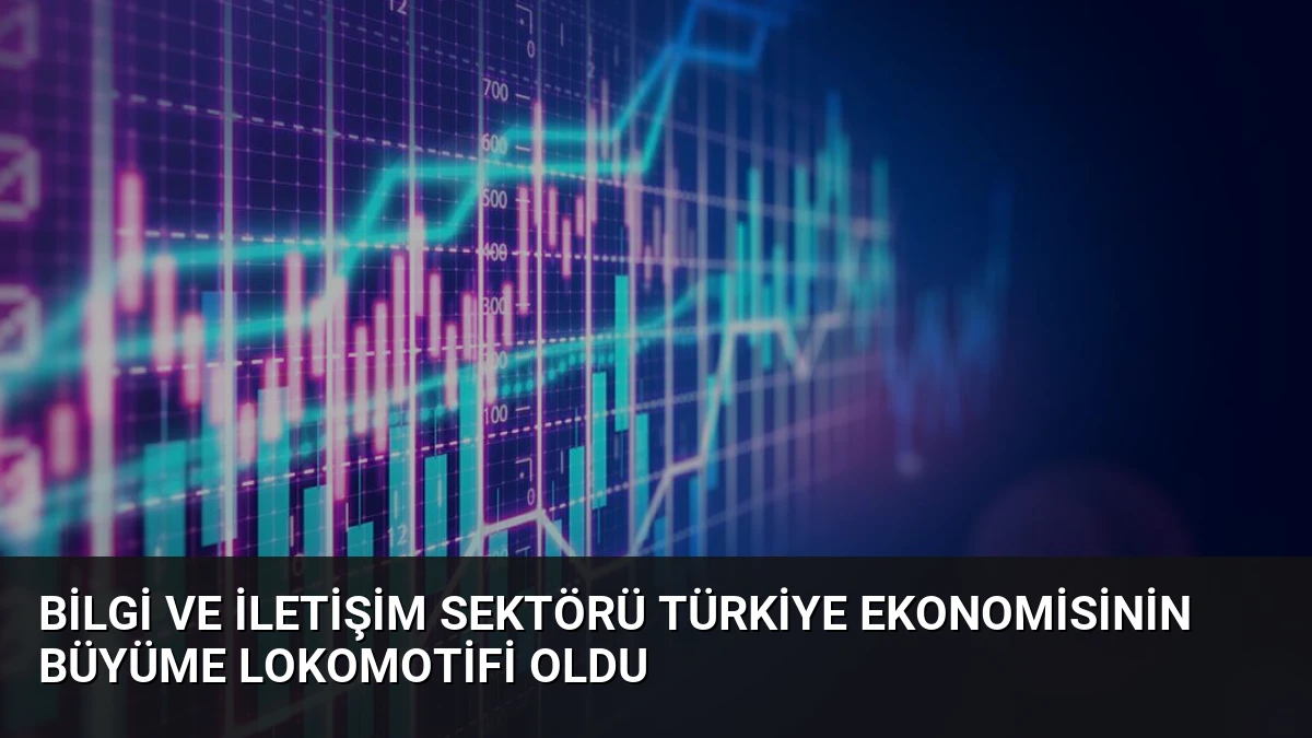 Bilgi ve İletişim Sektörü Türkiye Ekonomisinin Büyüme Lokomotifi Oldu