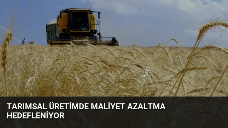 Tarımsal Üretimde Maliyet Azaltma Hedefleniyor