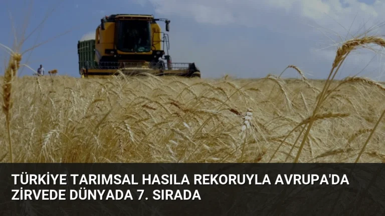 Türkiye Tarımsal Hasıla Rekoruyla Avrupa’da Zirvede Dünyada 7. Sırada