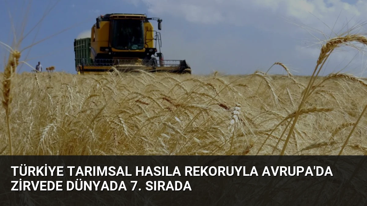 Türkiye Tarımsal Hasıla Rekoruyla Avrupa’da Zirvede Dünyada 7. Sırada